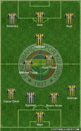 Fenerbahçe SK Formation 2013