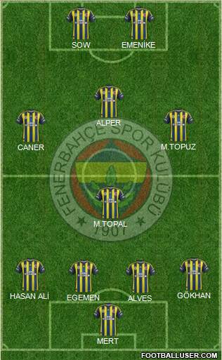 Fenerbahçe SK Formation 2013