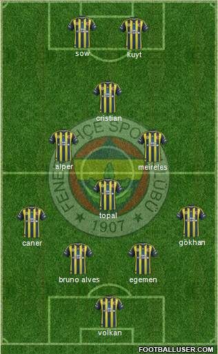 Fenerbahçe SK Formation 2013