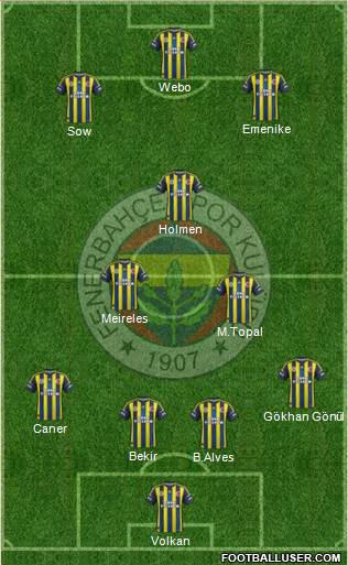 Fenerbahçe SK Formation 2013