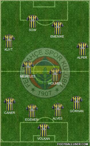 Fenerbahçe SK Formation 2013
