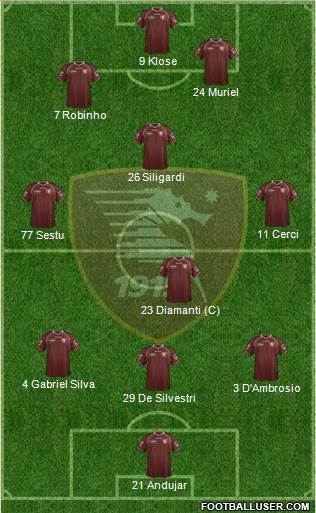 Salernitana Formation 2013