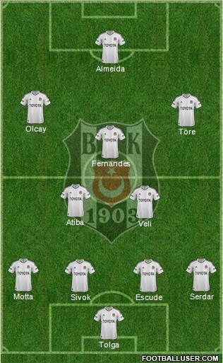 Besiktas JK Formation 2013