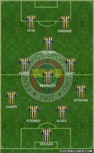 Fenerbahçe SK Formation 2013