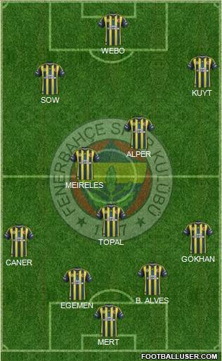 Fenerbahçe SK Formation 2013
