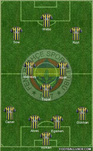 Fenerbahçe SK Formation 2013