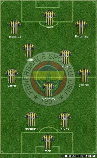 Fenerbahçe SK Formation 2013
