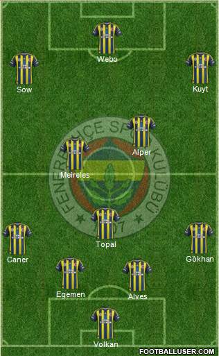 Fenerbahçe SK Formation 2013