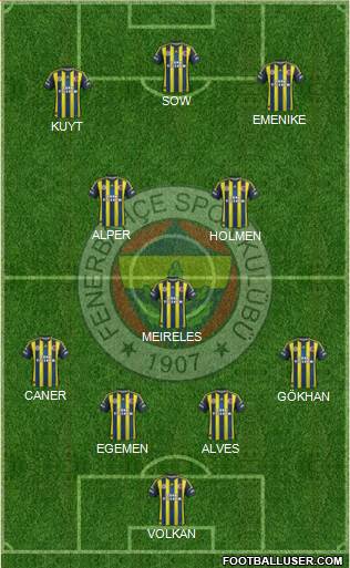 Fenerbahçe SK Formation 2013