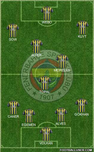 Fenerbahçe SK Formation 2013