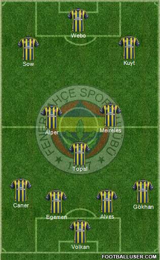 Fenerbahçe SK Formation 2013