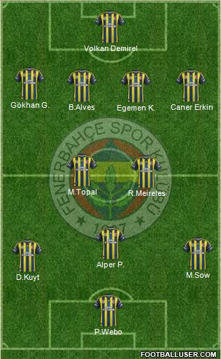 Fenerbahçe SK Formation 2013