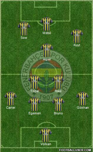 Fenerbahçe SK Formation 2013