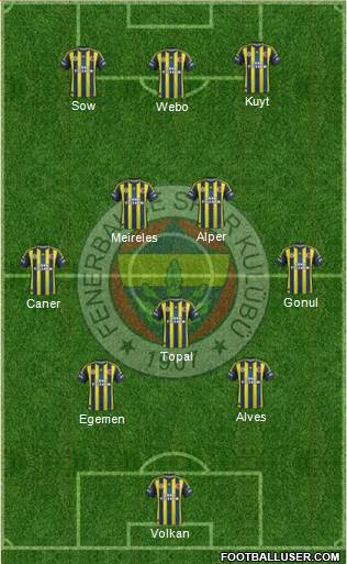 Fenerbahçe SK Formation 2013