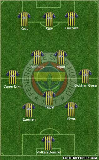 Fenerbahçe SK Formation 2013