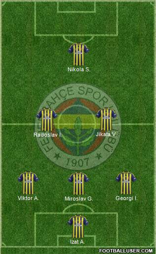 Fenerbahçe SK Formation 2013