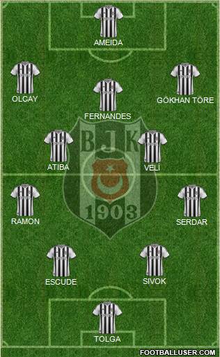 Besiktas JK Formation 2013