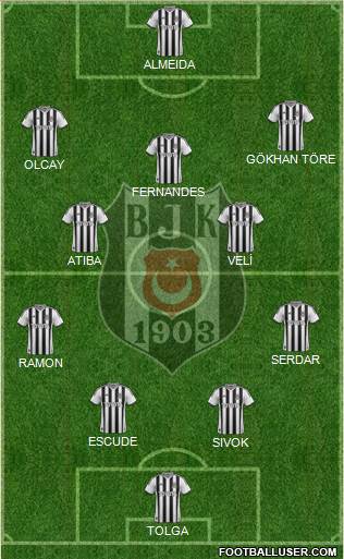 Besiktas JK Formation 2013