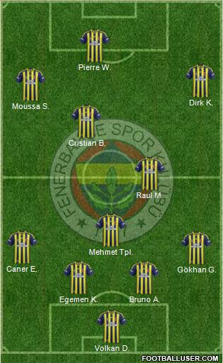 Fenerbahçe SK Formation 2013