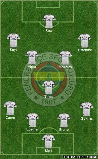 Fenerbahçe SK Formation 2013