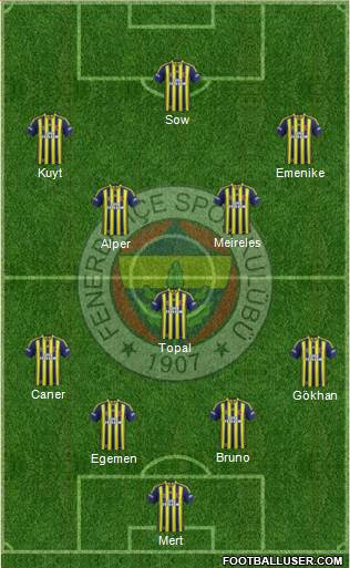 Fenerbahçe SK Formation 2013