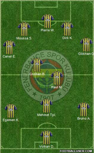 Fenerbahçe SK Formation 2013