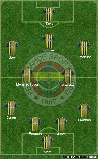 Fenerbahçe SK Formation 2013