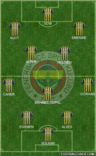 Fenerbahçe SK Formation 2013