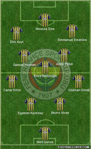 Fenerbahçe SK Formation 2013