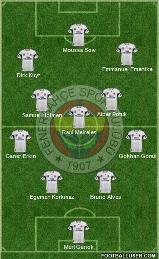 Fenerbahçe SK Formation 2013