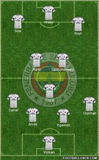 Fenerbahçe SK Formation 2013