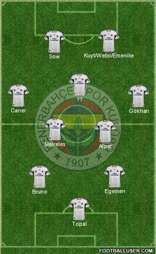 Fenerbahçe SK Formation 2013