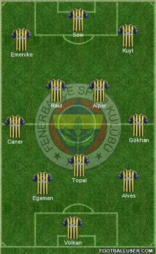 Fenerbahçe SK Formation 2013