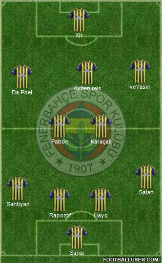 Fenerbahçe SK Formation 2013