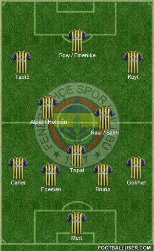 Fenerbahçe SK Formation 2013