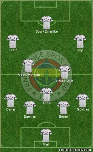 Fenerbahçe SK Formation 2013
