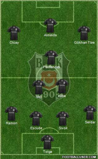 Besiktas JK Formation 2013