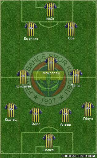 Fenerbahçe SK Formation 2013