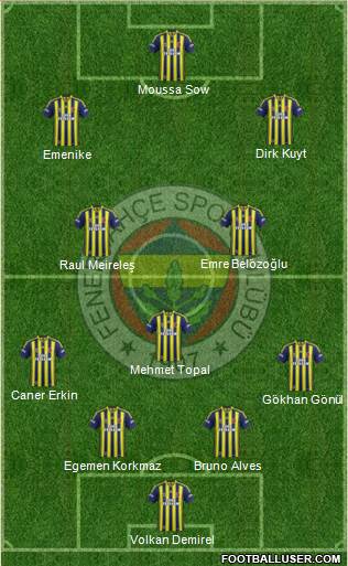 Fenerbahçe SK Formation 2013