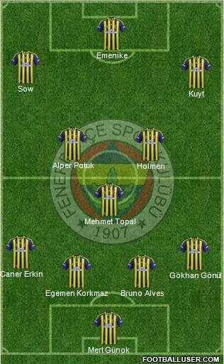 Fenerbahçe SK Formation 2013