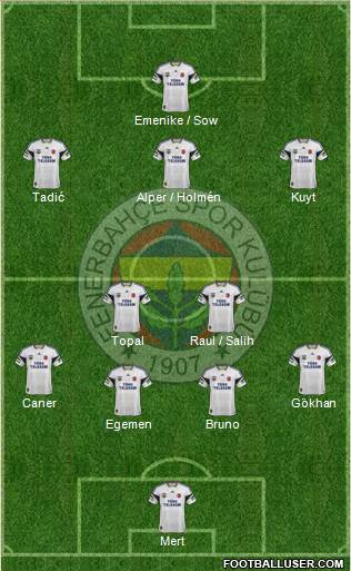 Fenerbahçe SK Formation 2013