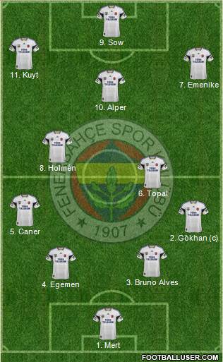 Fenerbahçe SK Formation 2013