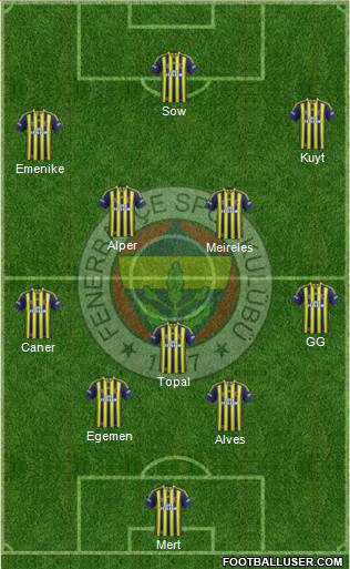 Fenerbahçe SK Formation 2013