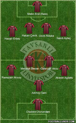 Tavsanli Linyitspor Formation 2013