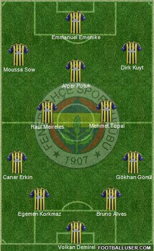 Fenerbahçe SK Formation 2013