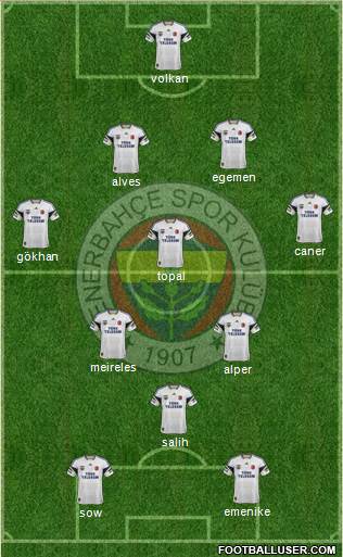 Fenerbahçe SK Formation 2013