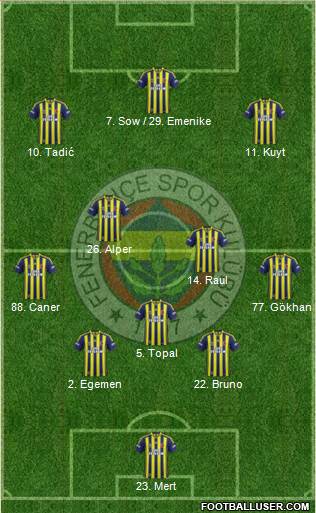 Fenerbahçe SK Formation 2013