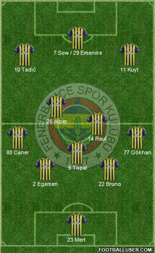 Fenerbahçe SK Formation 2013