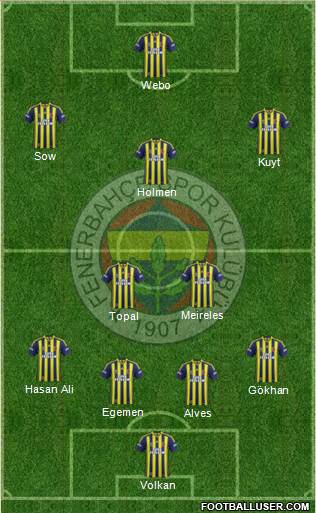 Fenerbahçe SK Formation 2013
