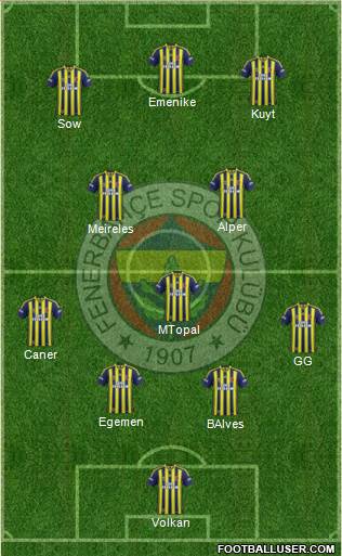 Fenerbahçe SK Formation 2013